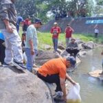 Dinas Kelautan, Perikanan, dan Peternakan Kabupaten Batang menebar benih ikan nila di sungai Kramat.